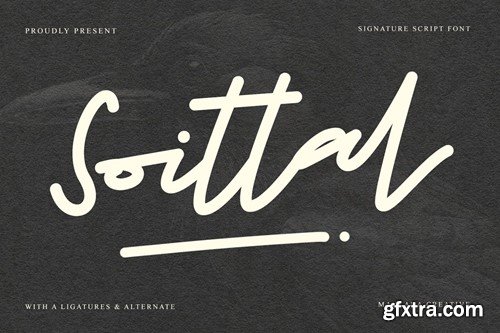 Soittal Signature Script Font 4STKNTG