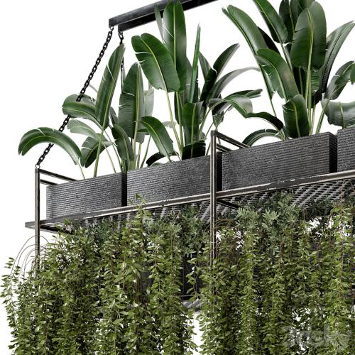 Indoor Hanging Plants in Metal Box - Set 269