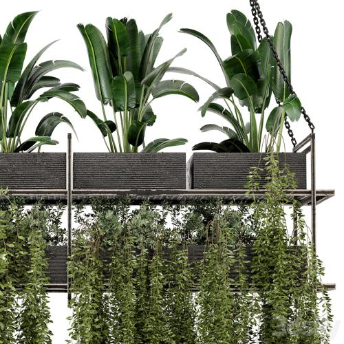 Indoor Hanging Plants in Metal Box - Set 269