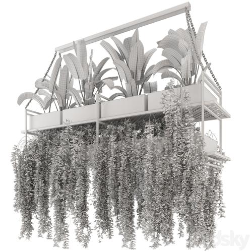 Indoor Hanging Plants in Metal Box - Set 269