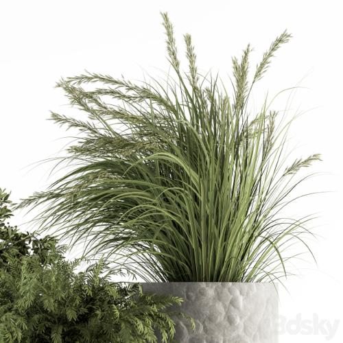 Outdoor Plant Set 292 - Plant Set in Concrete Pot