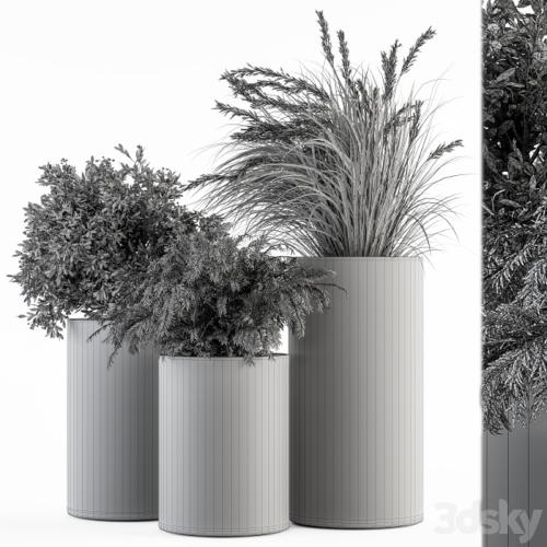 Outdoor Plant Set 292 - Plant Set in Concrete Pot