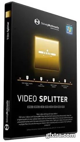 SolveigMM Video Splitter 8.0.2409.3 Broadcast Edition