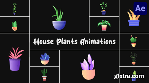 Videohive House Plants Animations for After Effects 54458073