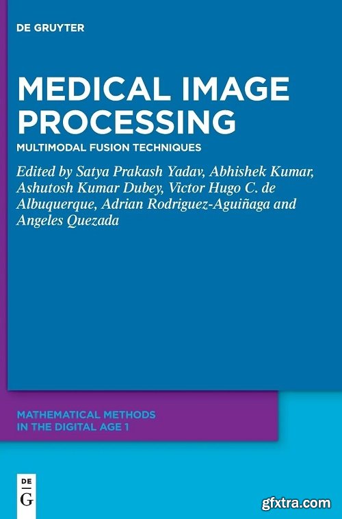 Medical Image Processing: Multimodal Fusion Techniques