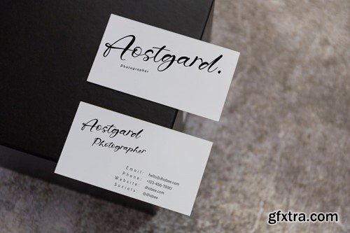 Fostgard - Casual Script Font DSSMG9H