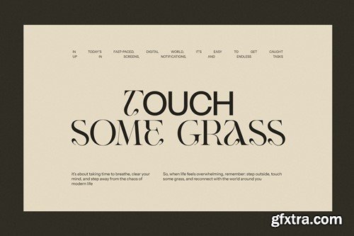 Tavirs Unique Serif Font 8GYJQC9