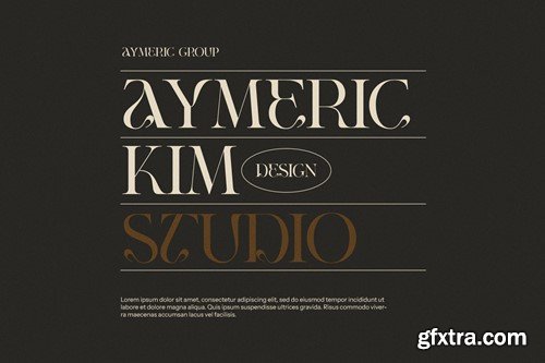 Tavirs Unique Serif Font 8GYJQC9