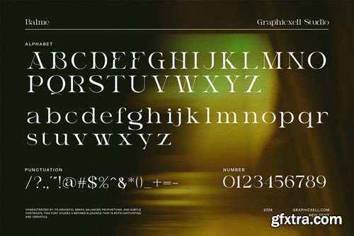 Balme Unique Serif Font XHX4WHM