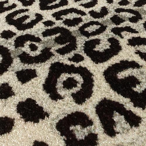 Carpet Skin Leopard