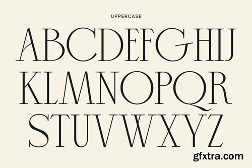 Mikaelo - Elegant Serif Typeface REQWJY7