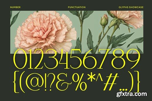 Mikaelo - Elegant Serif Typeface REQWJY7