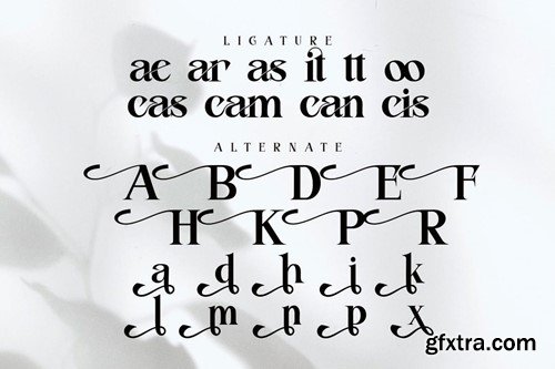 Fitasha - Elegant Typeface Font 6XR9WWP