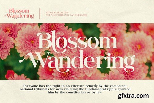 Galmine - Modern & Elegant Serif Font PHMYWKM