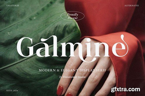 Galmine - Modern & Elegant Serif Font PHMYWKM