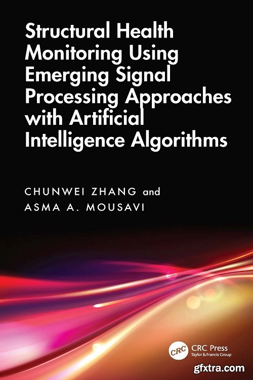 Structural Health Monitoring Using Emerging Signal Processing Approaches with Artificial Intelligence Algorithms