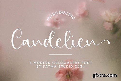 Candelien - Wedding Font LF7N9DC