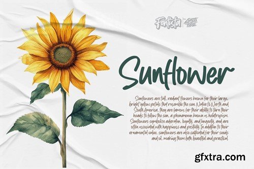 Fontista – Hand Drawn Brush Font RBJTQBZ