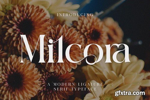 Milcora Modern Ligature Serif KZMB7VJ