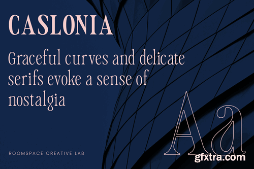 Caslonia - Retro Branding Logo Font 67GX6D7