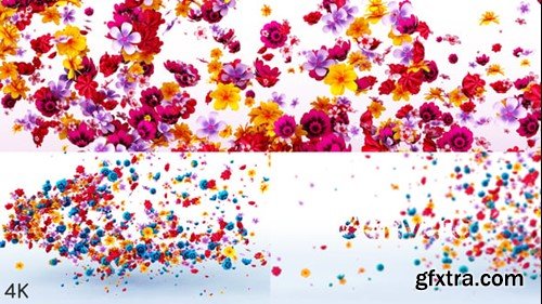 Videohive Flowers Logo Reveal 23972271