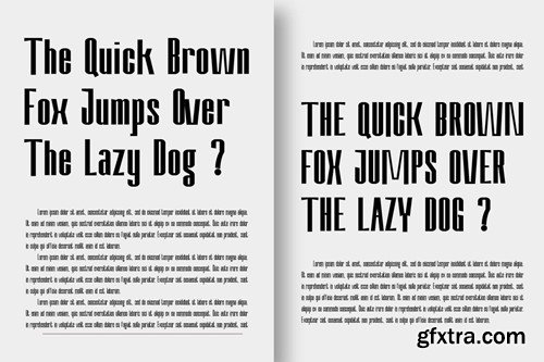 Nevary Modern & Elegant Sans Serif Family DJHBNYL