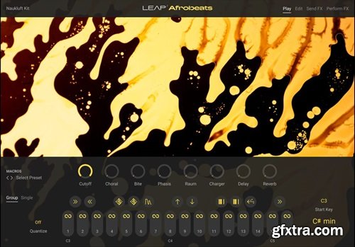 Native Instruments Leap Afrobeats v1.0.0