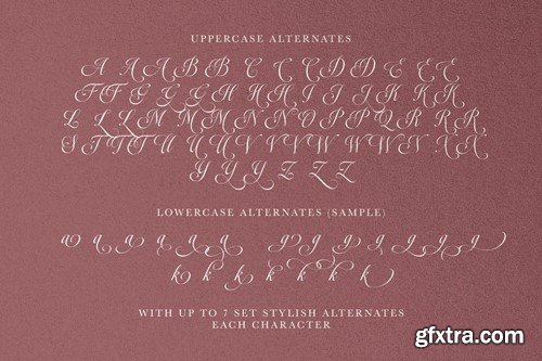 Mardigare - Luxury Script STDBY66