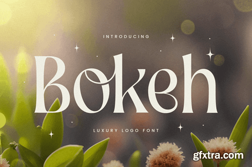 Bokeh - Luxury Logo Font 98MNPRR