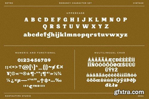 Rodancy Retro Vintage Serif Font GNLHGE5