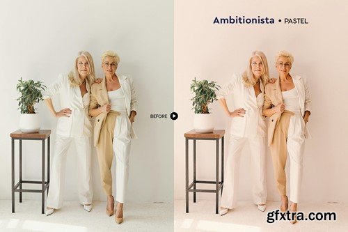 Ambitionista Business Portrait Presets P6DEAMB