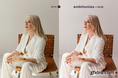 Ambitionista Business Portrait Presets P6DEAMB