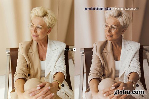 Ambitionista Business Portrait Presets P6DEAMB