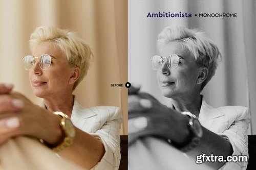 Ambitionista Business Portrait Presets P6DEAMB