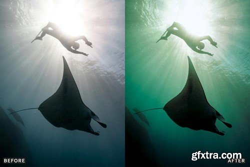 Scuba Diving Lightroom Presets Pack 3JSFRNR