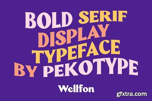 Wellfon - Modern Retro Serif Typeface S7866NX