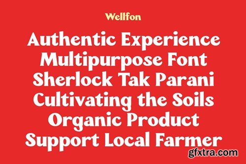 Wellfon - Modern Retro Serif Typeface S7866NX