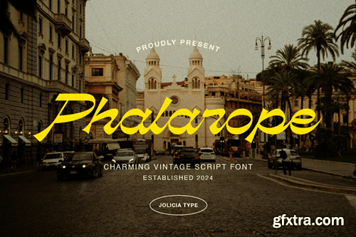 Phalarope | Reverse Contrast Script Font BF9KD2K