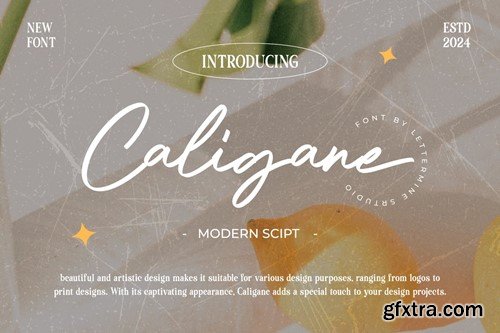 Caligane - Script Handwritten ZSD7Y6T