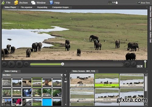 Fast Video Cataloger 9.0.0.0