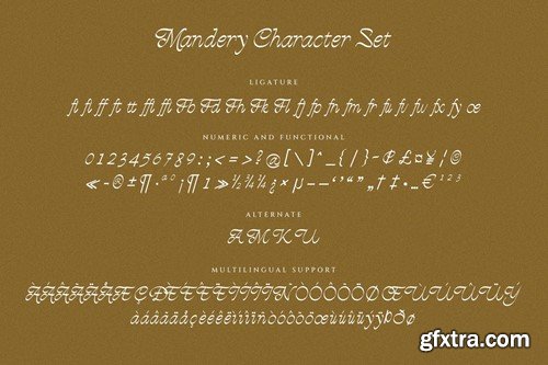 Mandery Classy Serif Font JV84T9F