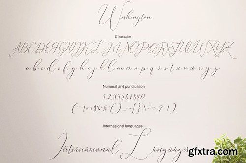 Washington Calligraphy Modern V7WJKXG