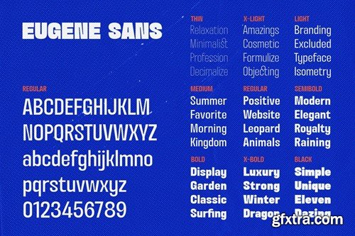 Eugene Sans - Modern Grotesque Sans Serif Font 2F689DX