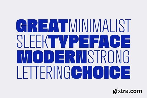 Eugene Sans - Modern Grotesque Sans Serif Font 2F689DX