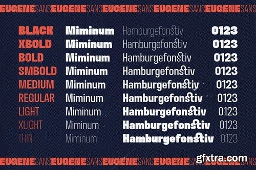 Eugene Sans - Modern Grotesque Sans Serif Font 2F689DX