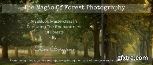 Ellen Borggreve – The Magic Of Forest Photography