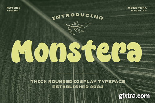 Monstera - Playful Display Font A632388