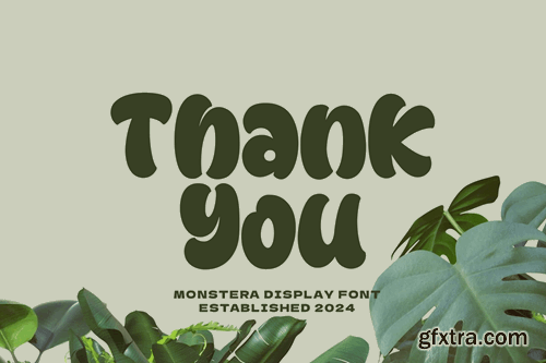 Monstera - Playful Display Font A632388