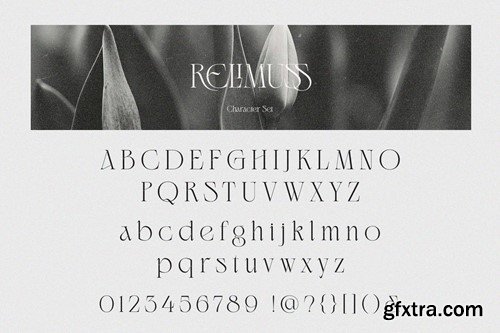 Relimuss - Unique Display Serif Font ZFTU9K3