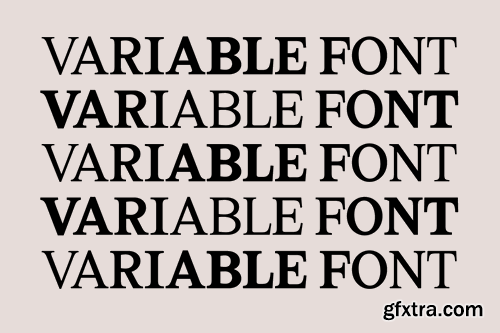 Marjorie Serif + Italic Font Family 72EBRZY